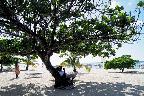 cruise14 (522)